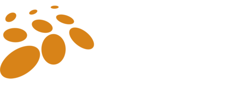 Logo Look Here Formaturas